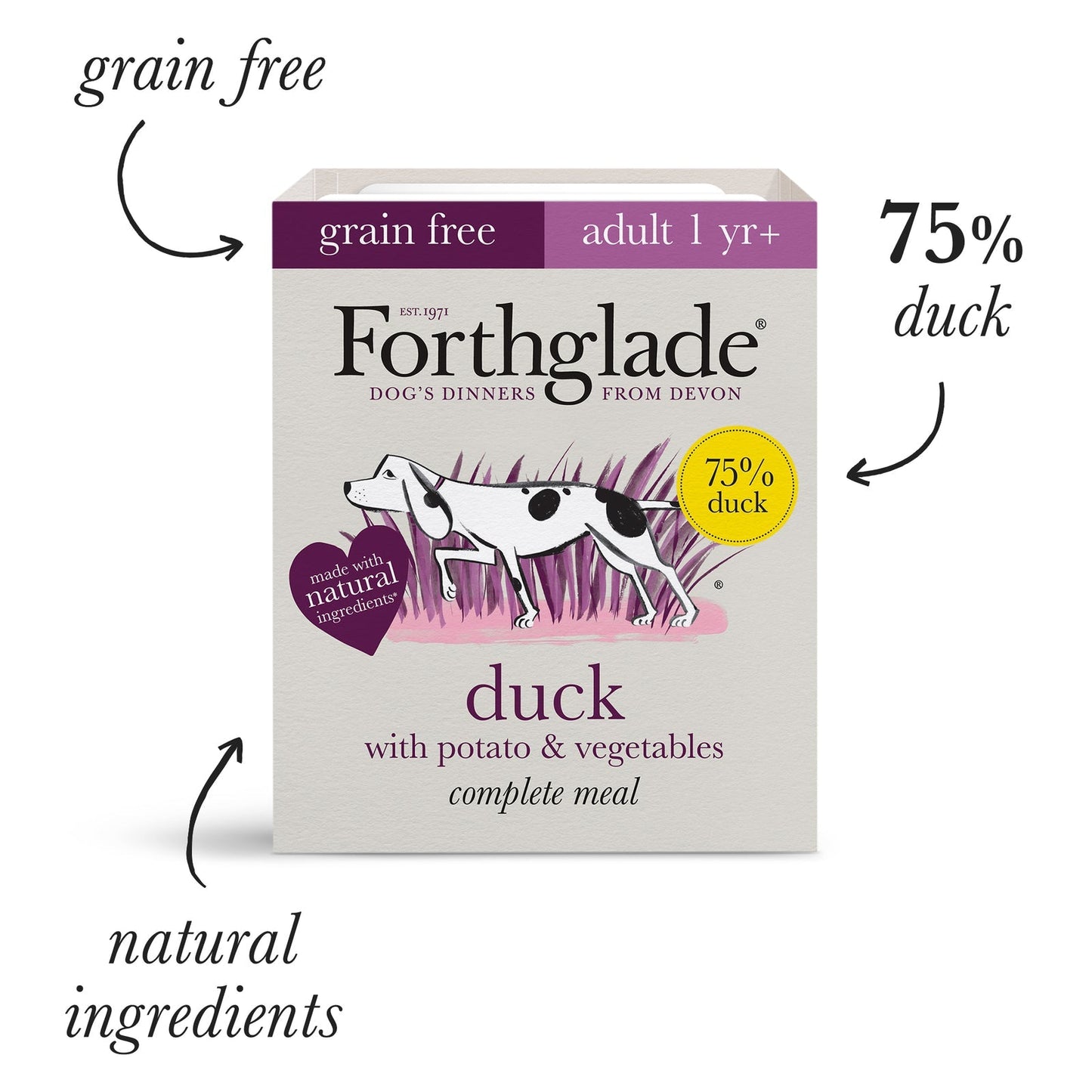 Forthglade Complete Meal Grain Free Turkey/Duck & Lamb Natural Wet Dog Food 12 x 395g