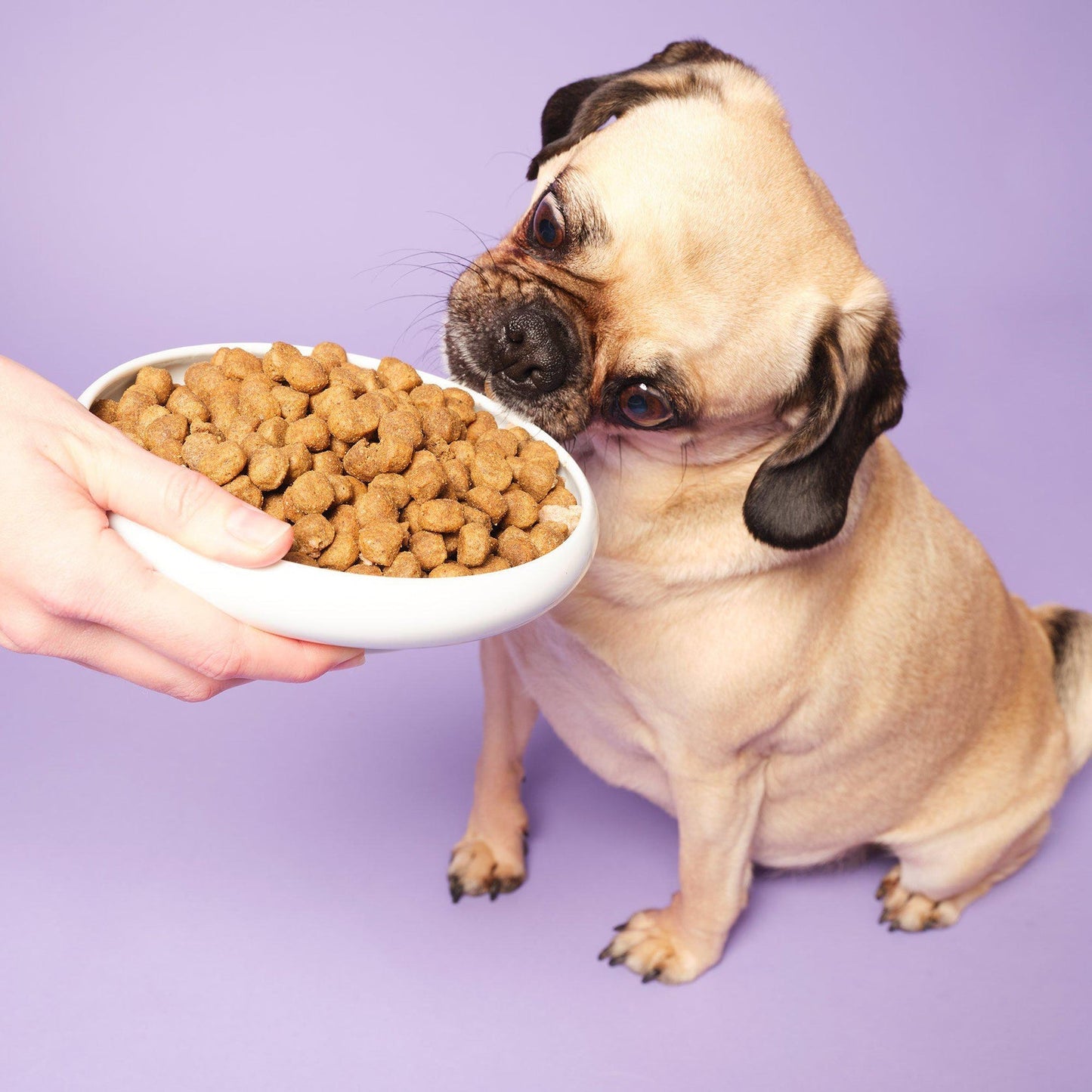 Pooch & Mutt Slim & Slender Dry Dog Food