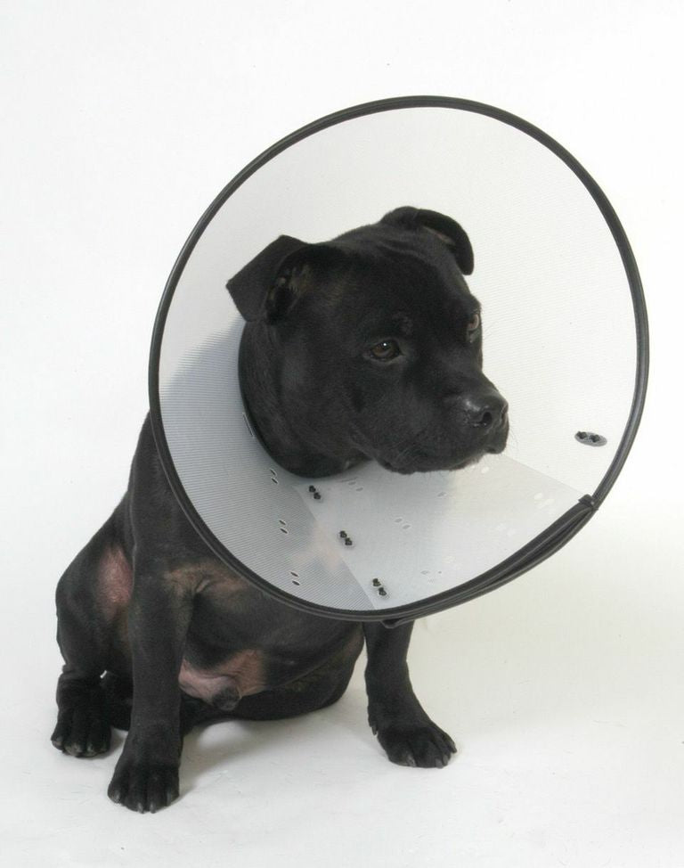 MDC Smart Collar Size 1 (18cm-24cm)