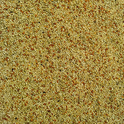 Bucktons Special Budgie Food 20kg