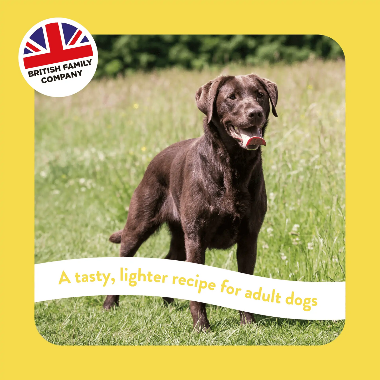 Burgess Supadog Light in Fat with Tasty Chicken Dry Dog Food 12.5kg