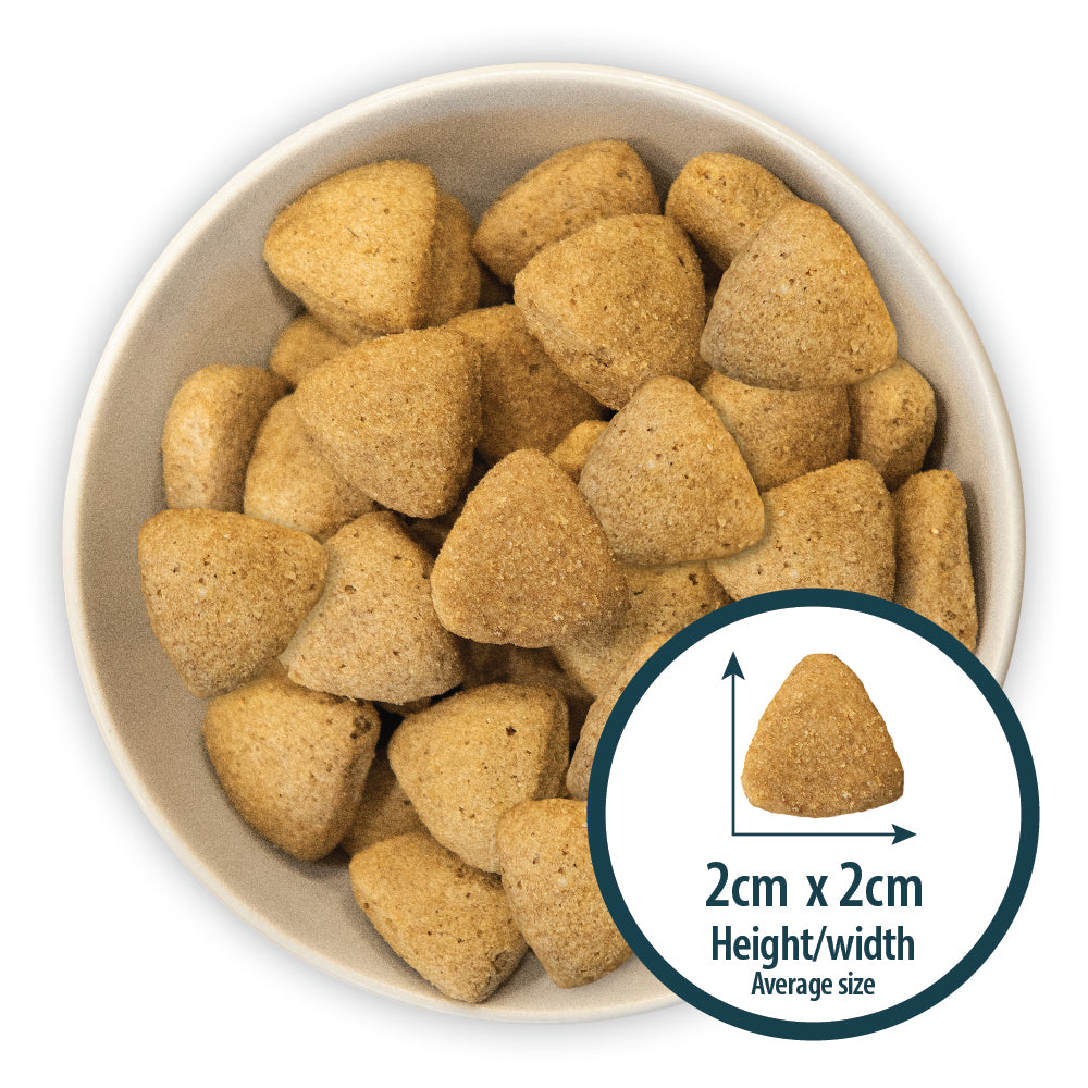 Burns Large & Giant Chicken & Brown Rice Dry Dog Food 12kg
