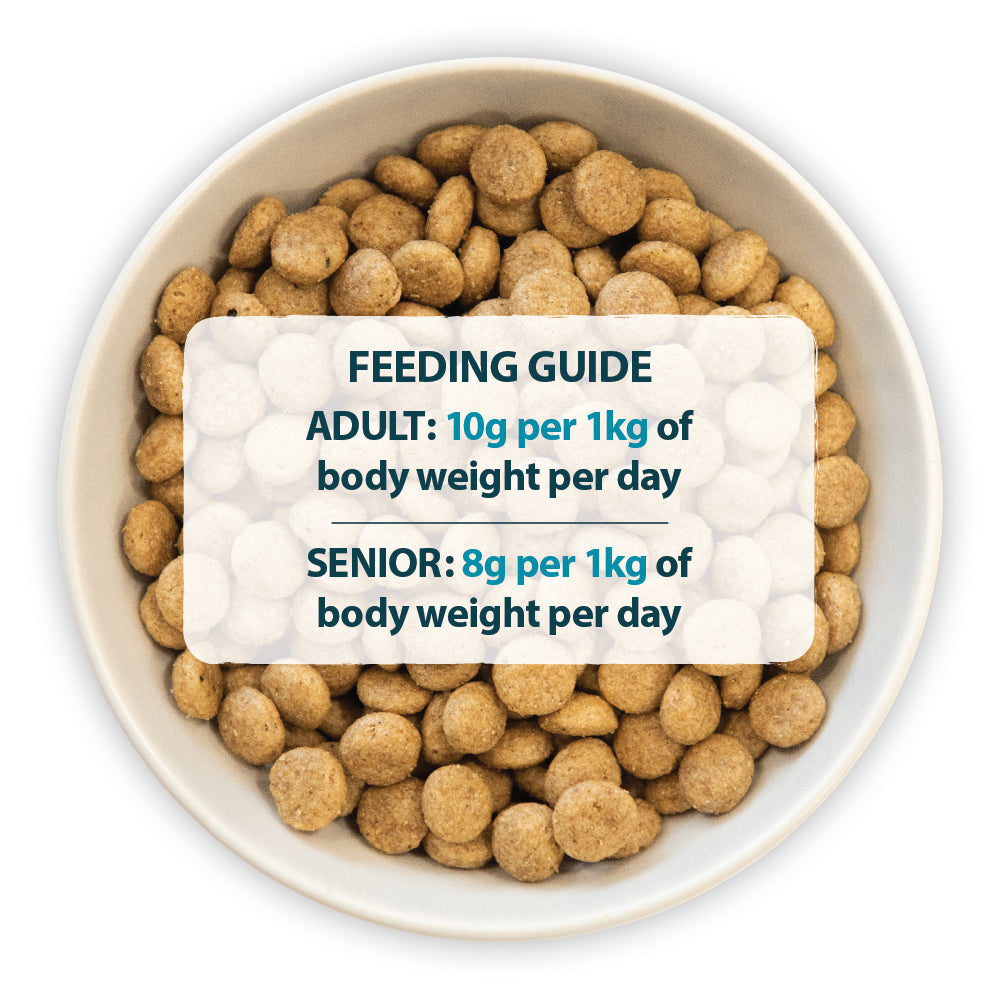 Burns Sensitive Chicken & Wholegrain Maize Dry Dog Food 2kg