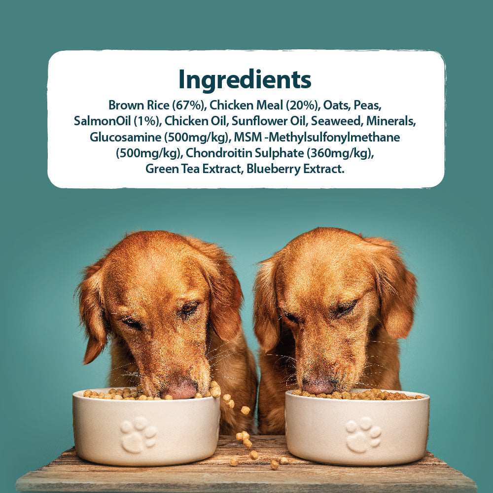 Burns Large & Giant Chicken & Brown Rice Dry Dog Food 12kg