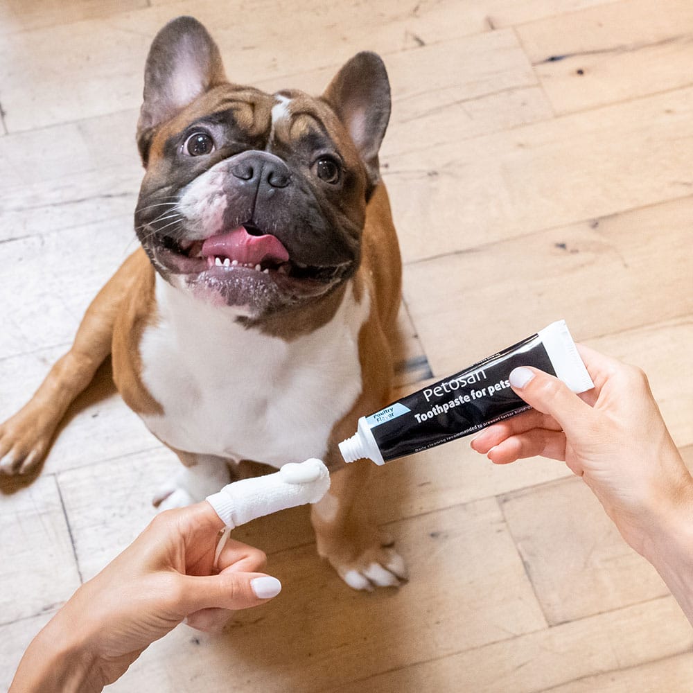 Petosan Anti-Tartar Toothpaste with Poultry Flavor for Dogs & Cats 70g
