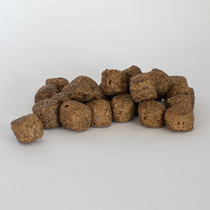 Skinner's Field & Trial Turkey and Rice Adut Working Dry Dog Food