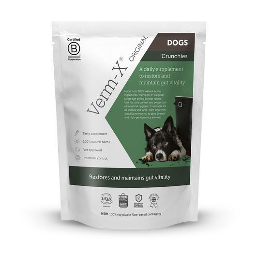 Verm-X Original Crunchies for Dogs Treats 100g