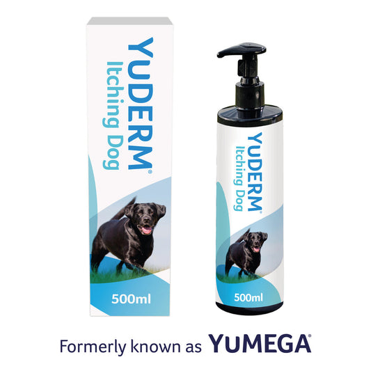 YuDerm Itchy Dog Skin & Coat Supplement for Dogs 250ml