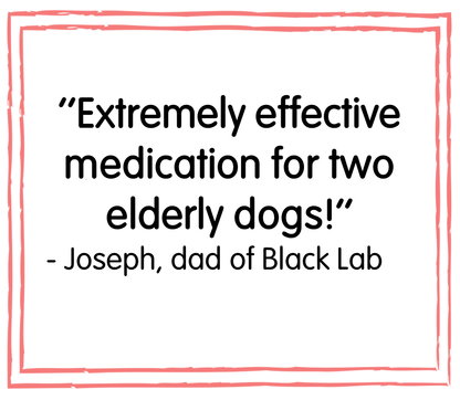 YuMOVE Dog Joint Supplement Tablets for Dogs - 300 Tablets