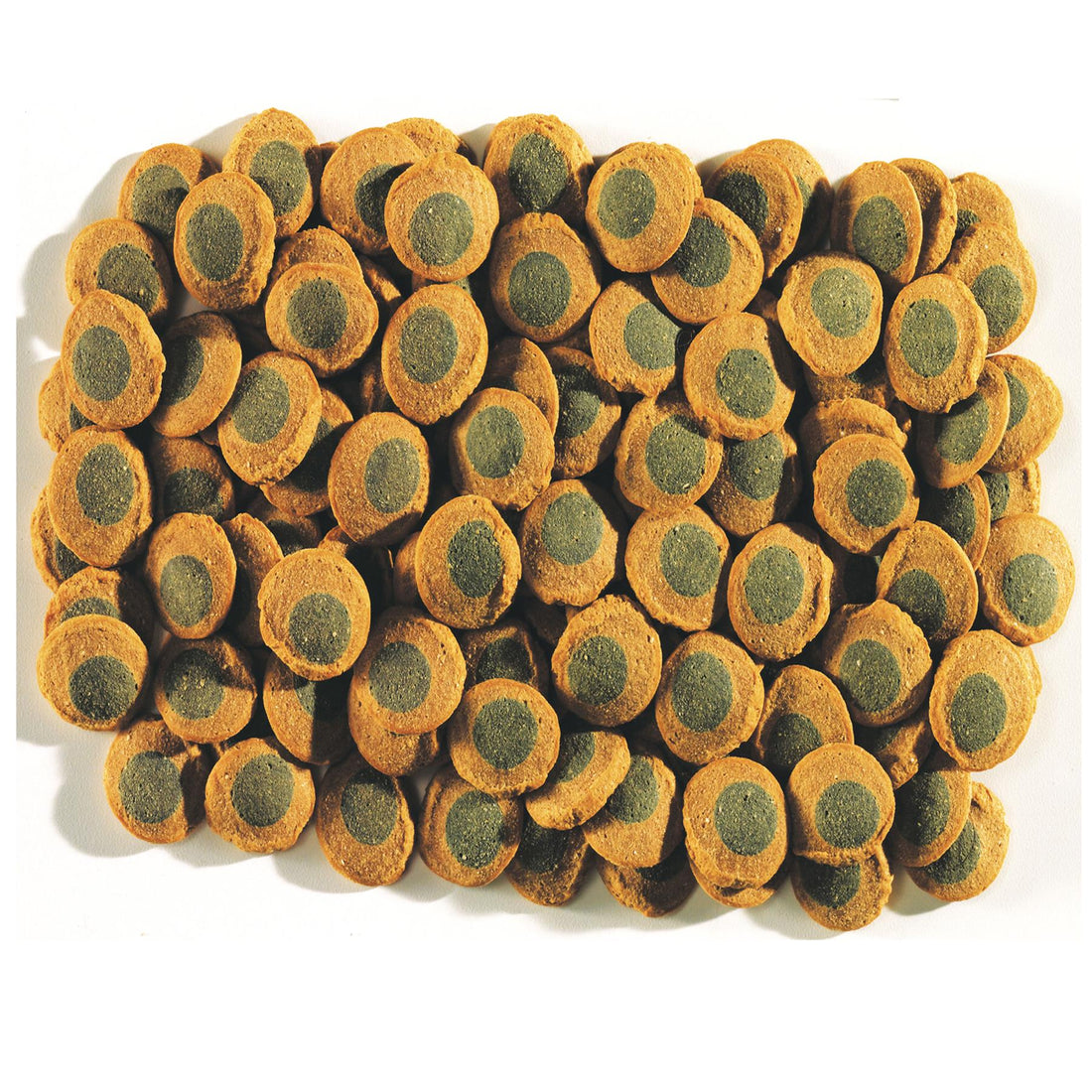 Tetra Pleco Spirulina Wafers Fish Food 85g