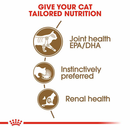 Royal Canin Senior Ageing 12+ Thin Slices In Jelly Wet Cat Food