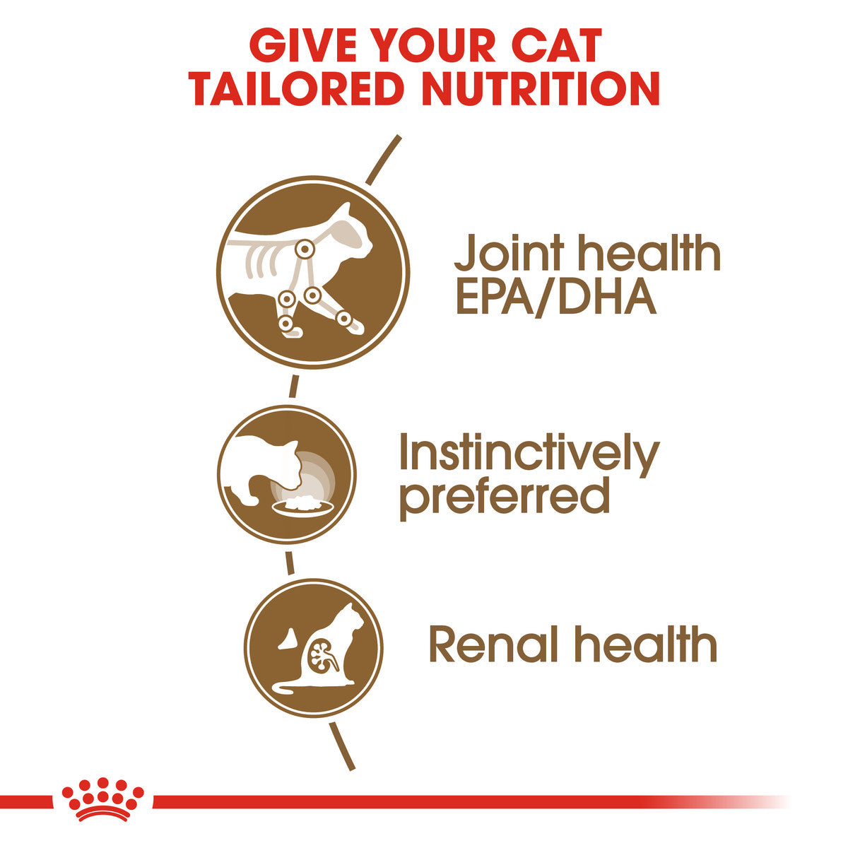 Royal Canin Senior Ageing 12+ Thin Slices In Gravy Wet Cat Food