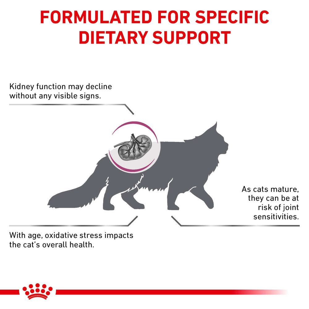 Royal Canin Early Renal Dry Cat Food
