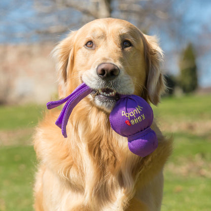 KONG Wubba Dog Toy Assorted Colours
