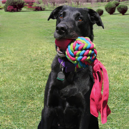 KONG Wubba Weaves Dog Toy