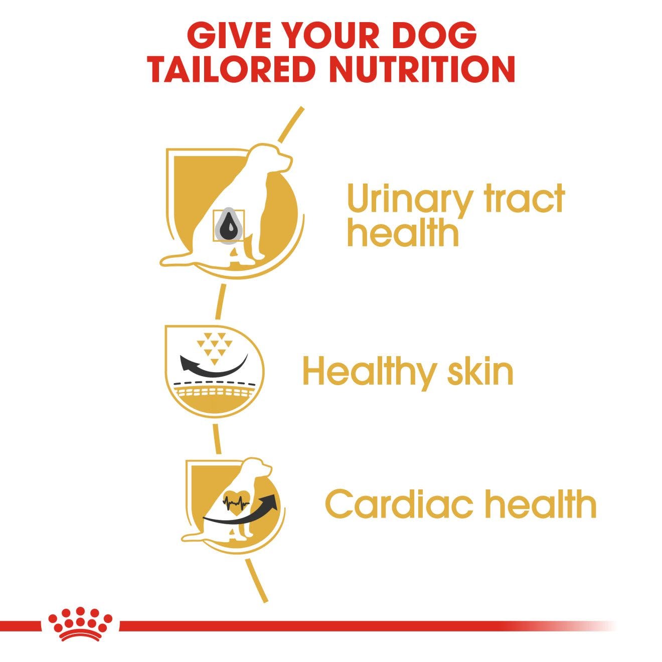 Royal Canin Adult Dalmatian Dry Dog Food 12kg