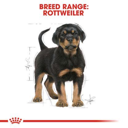 Royal Canin Puppy Rottweiler Dry Dog Food 12kg