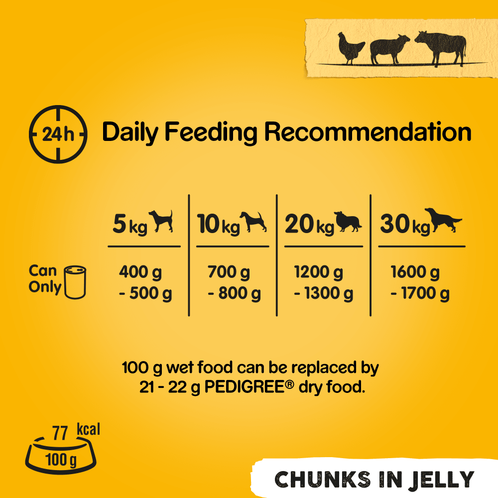 Pedigree Chunks in Jelly Mixed Selection Adult Wet Dog Food 12 x 385g