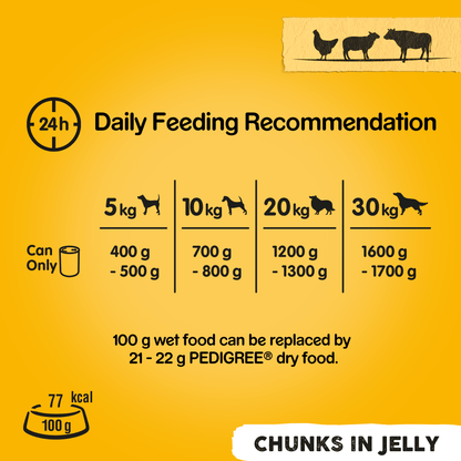 Pedigree Chunks in Jelly Mixed Selection Adult Wet Dog Food 12 x 385g