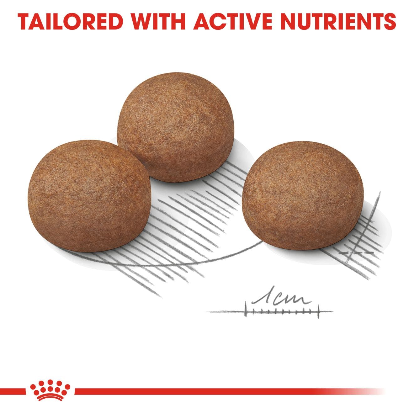 Royal Canin Adult Maxi Digestive Care Dry Dog Food 12kg