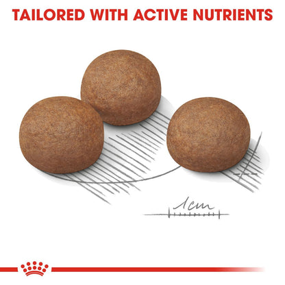 Royal Canin Adult Maxi Digestive Care Dry Dog Food 12kg