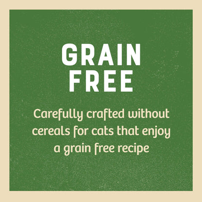 James Wellbeloved Grain Free Adult Turkey Wet Cat Food in Gravy 12 x 85g
