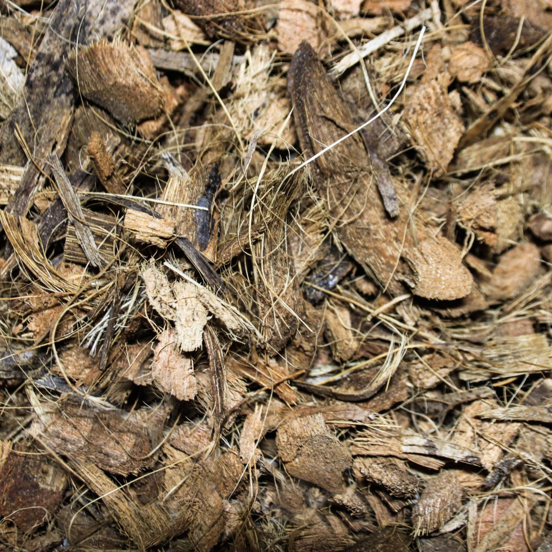 Pettex Reptile Substrate Coco Fibre 10L