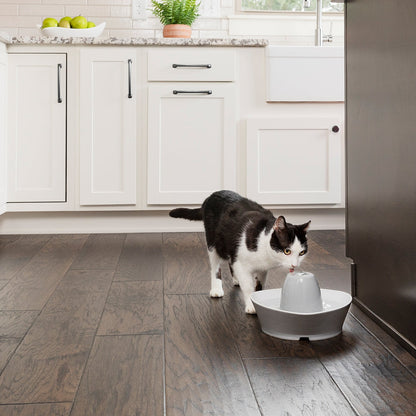 Petsafe Streamside Ceramic Pet Fountain