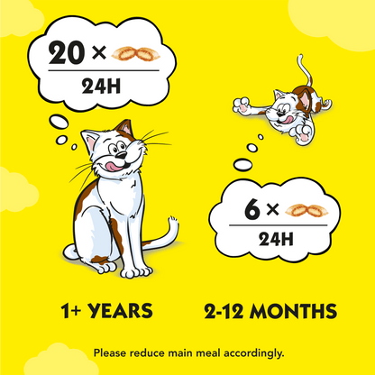 Dreamies with Delectable Duck Cat Treats 60g