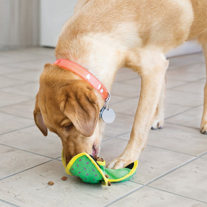 KONG Ballistic Hide & Treat Dog Toy