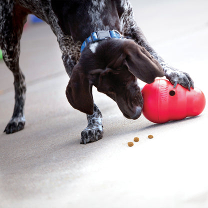KONG Wobbler Dog