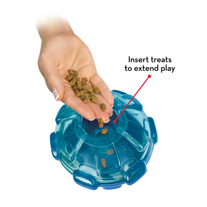 KONG Rewards Dog Ball Large