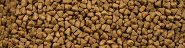 Alpha Ferret Feast Dry Food