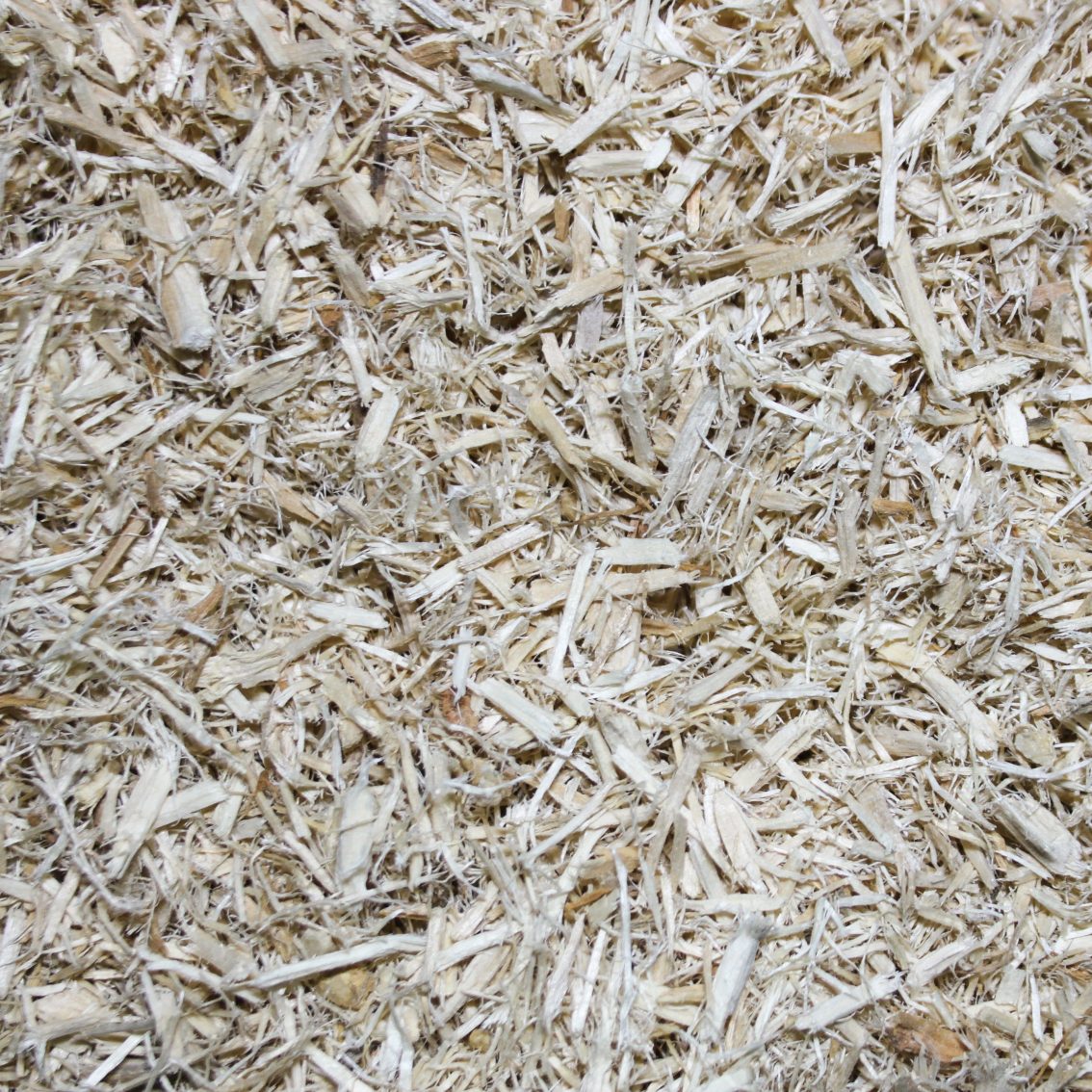 Pettex Reptile Substrate Aspen Fibre 10L