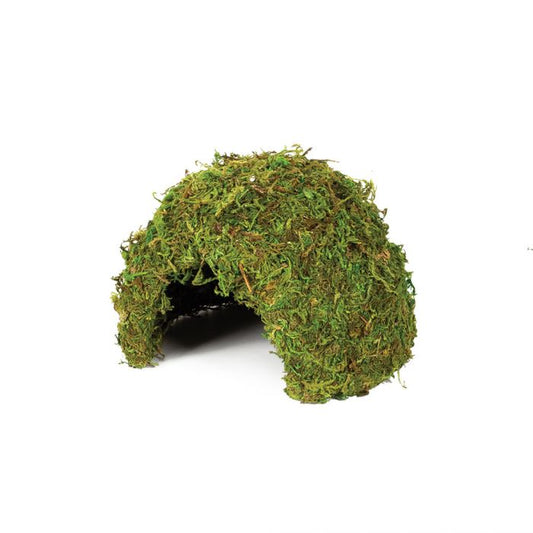 Komodo Large Natural Moss Cave Terrain
