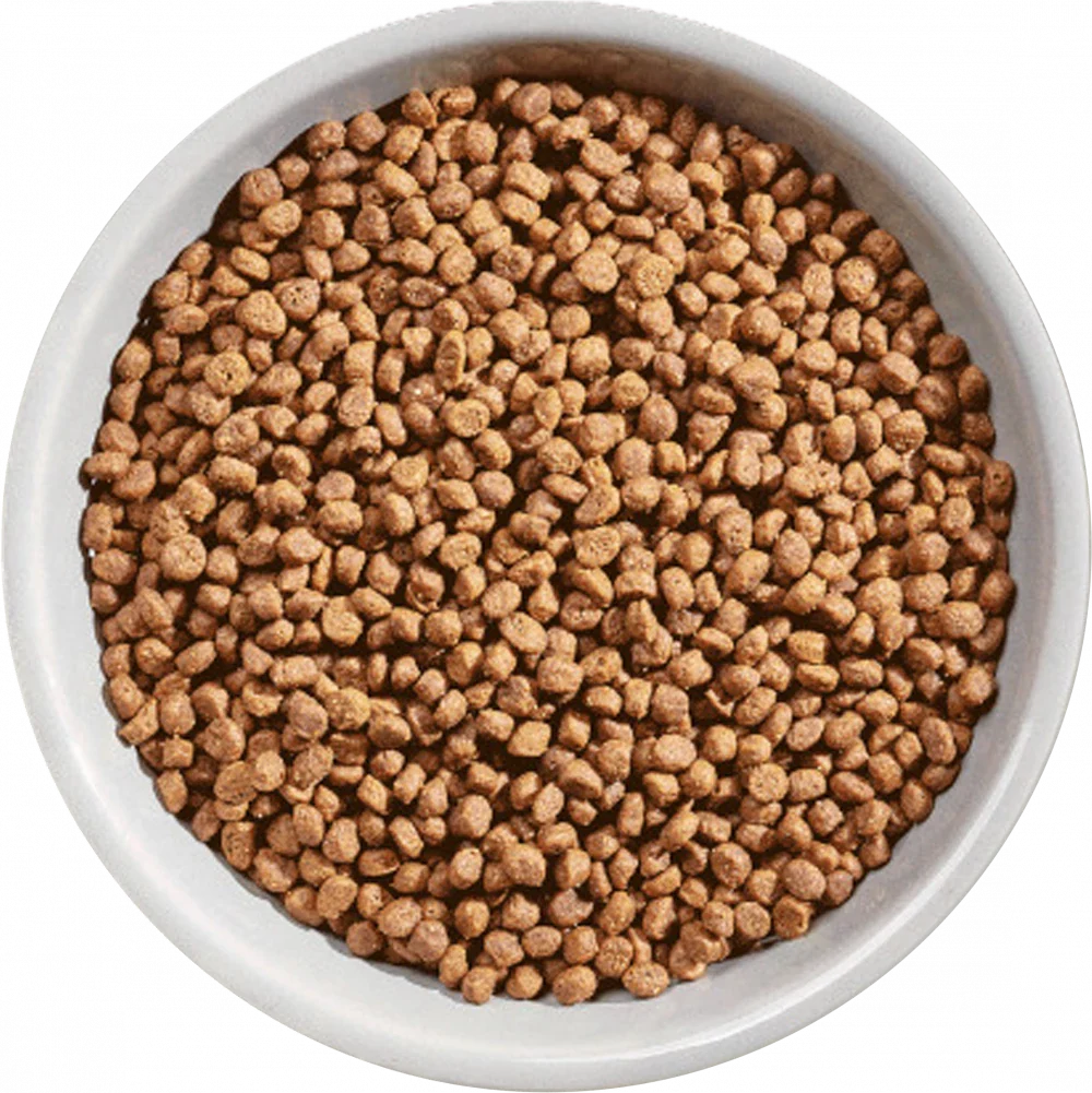 Natures Variety Selected Free Range Chicken for Kitten Dry Cat Food 300g