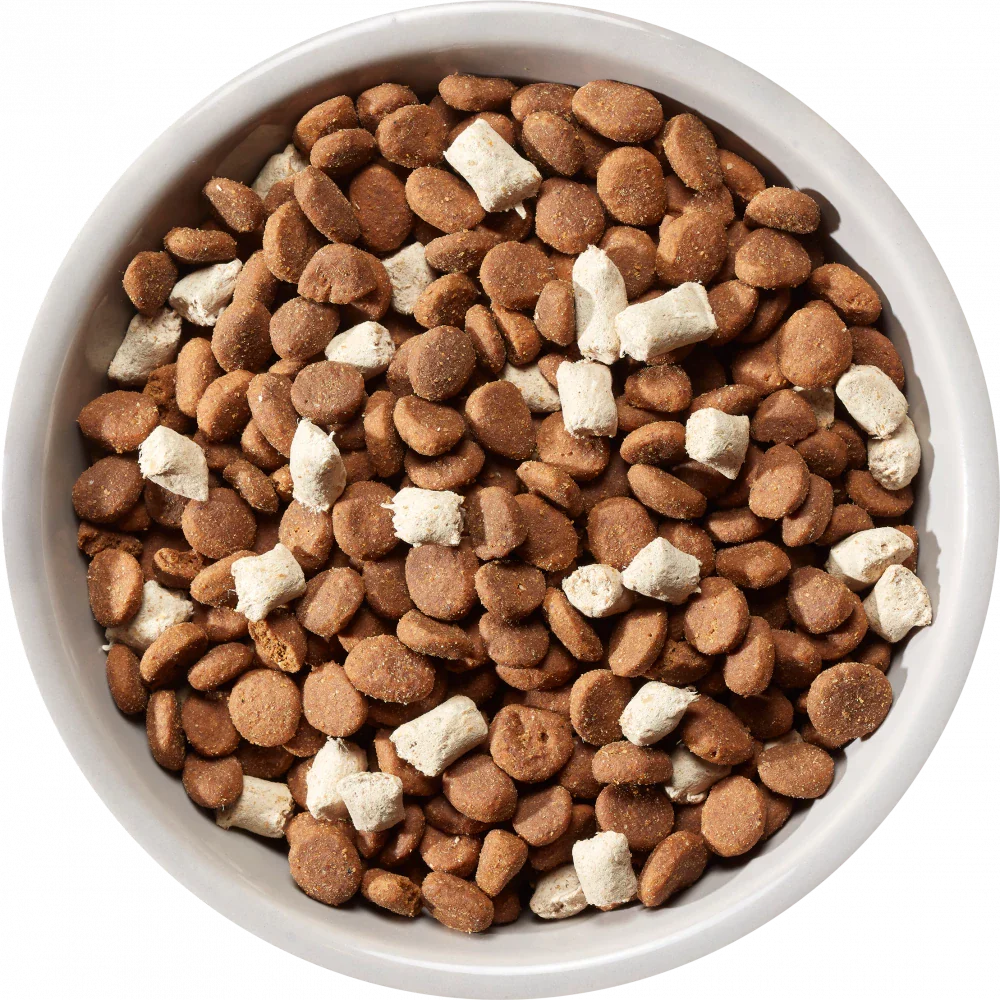 Nature's Variety Meat Boost Norwegian Salmon Adult Dry Dog Food 10kg