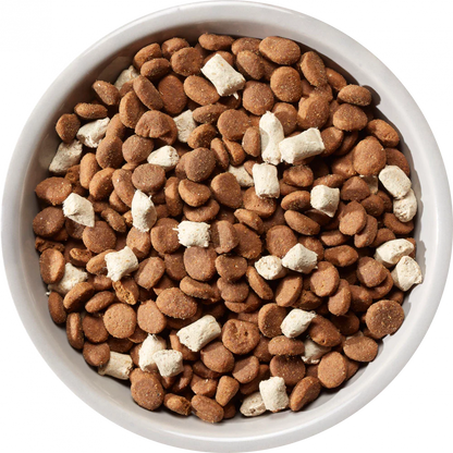 Nature's Variety Meat Boost Norwegian Salmon Adult Dry Dog Food 10kg