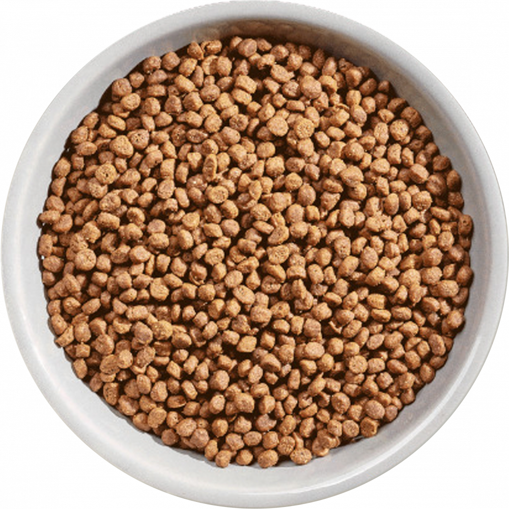 Natures Variety Selected Free Range Chicken for Kitten Dry Cat Food 1.25kg