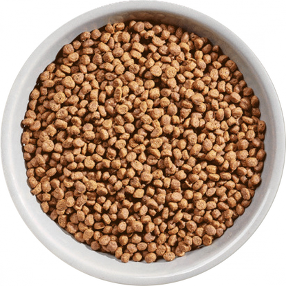 Natures Variety Selected Free Range Chicken for Kitten Dry Cat Food 1.25kg