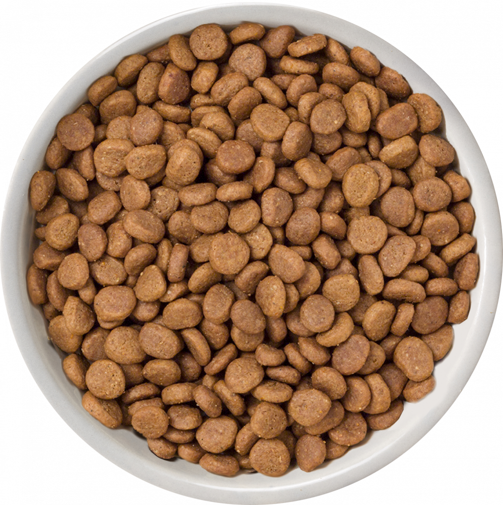 Nature's Variety Selected Free Range Chicken Adult Dry Cat Food 3kg