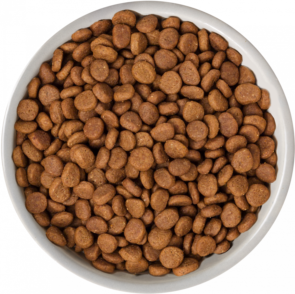 Natures Variety Selected Norwegian Salmon for Adult Dry Cat Food 1.25kg