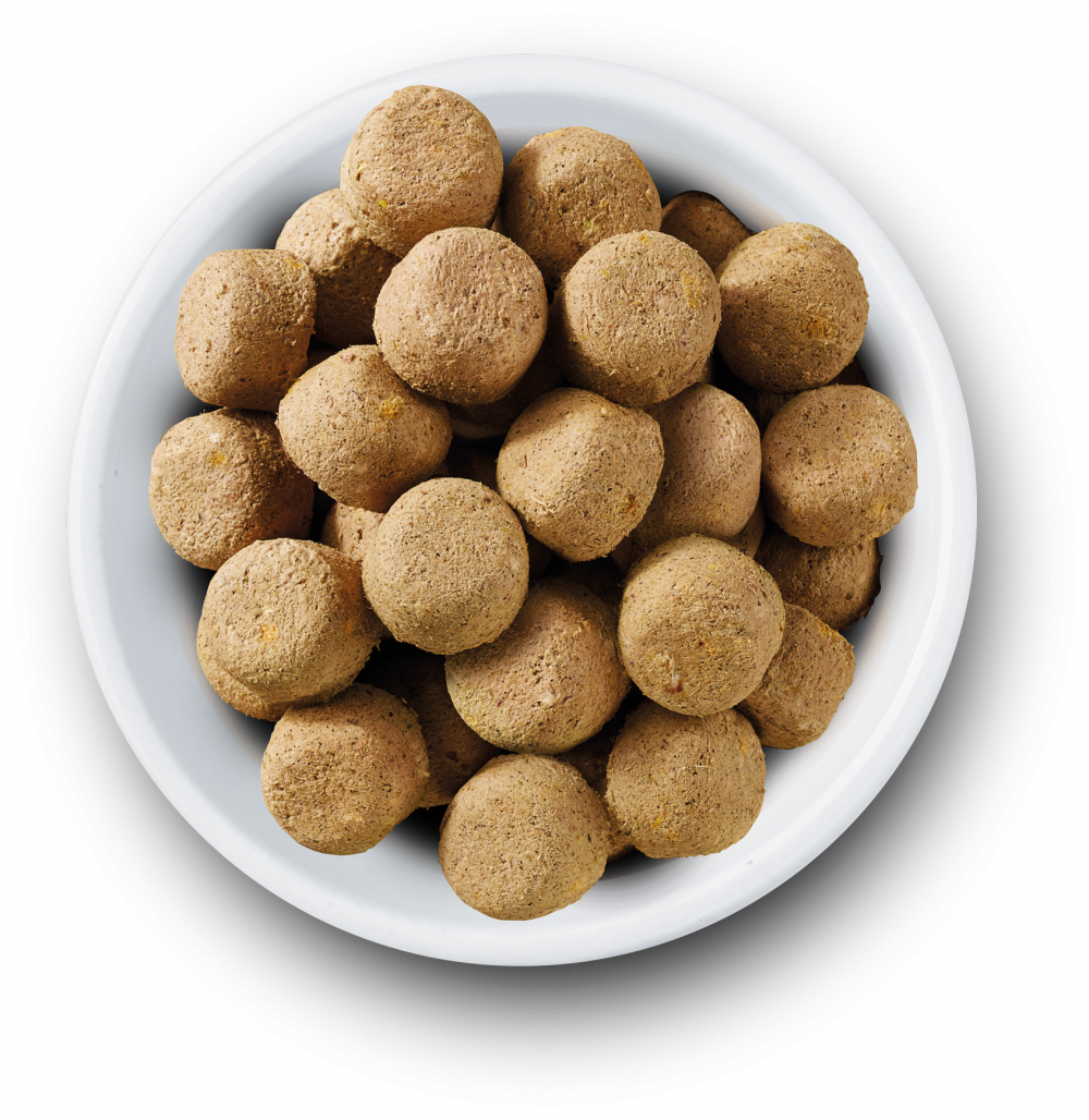 Nature's Variety Complete Freeze Dried Food Turkey For Adult Dogs 840g