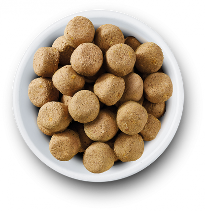 Nature's Variety Complete Freeze Dried Food Turkey For Adult Dogs 840g