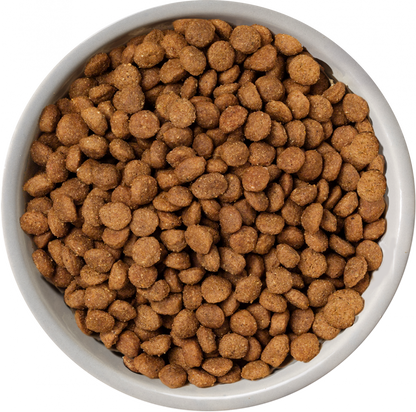 Nature's Variety Selected Norwegian Salmon Mini Adult Dry Dog Food 1.5kg