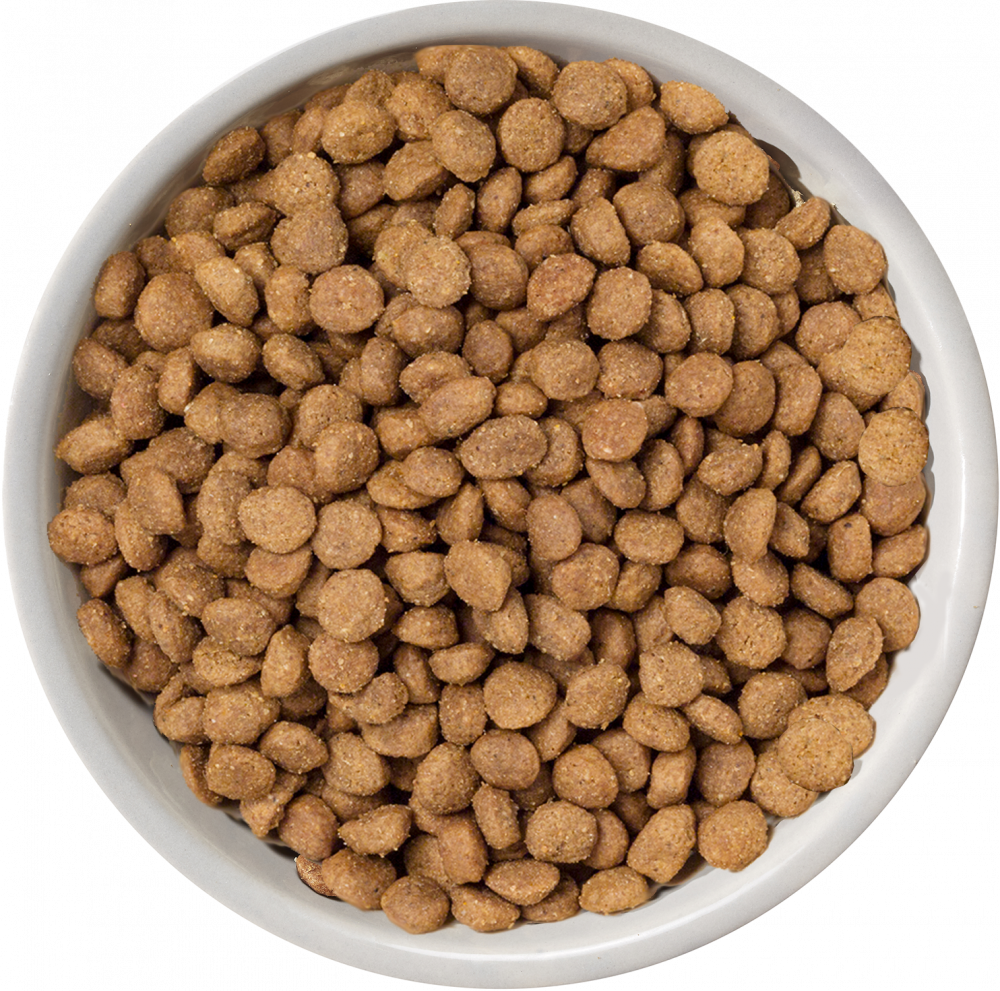Nature's Variety Selected Free Range Chicken Mini Adult Dry Dog Food 1.5kg