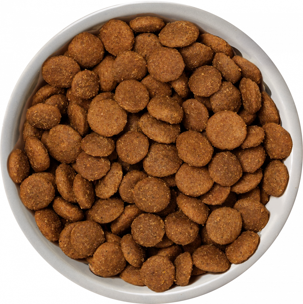 Nature's Variety Selected Norwegian Salmon Medium/Maxi Adult Dry Dog Food 2kg