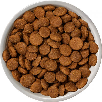 Nature's Variety Selected Norwegian Salmon Medium/Maxi Adult Dry Dog Food 2kg