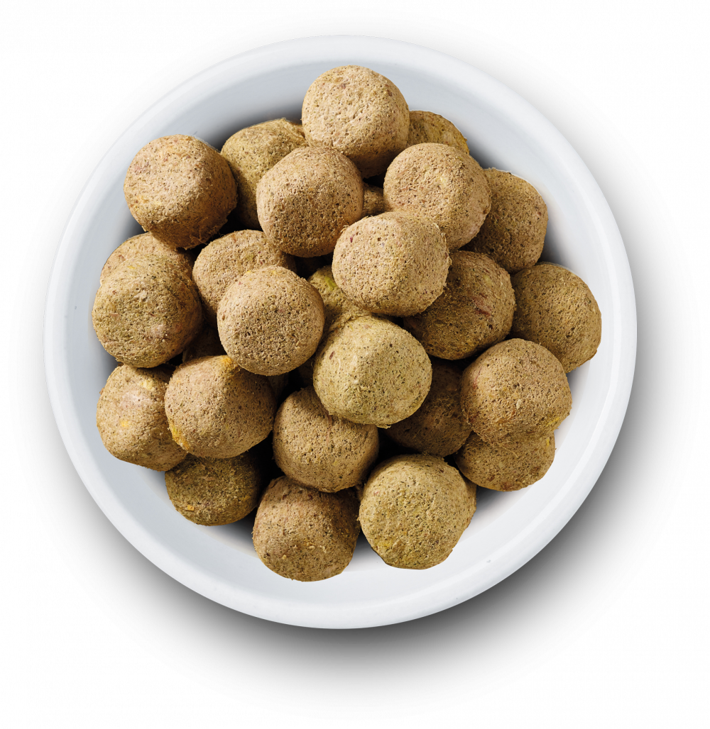 Nature's Variety Complete Freeze Dried Food Lamb For Adult Dogs 120g