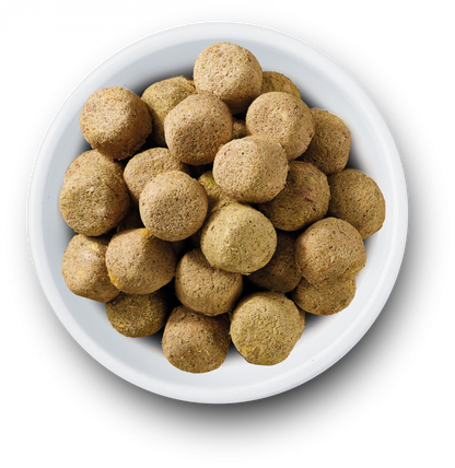 Nature's Variety Complete Freeze Dried Food Lamb For Adult Dogs 120g